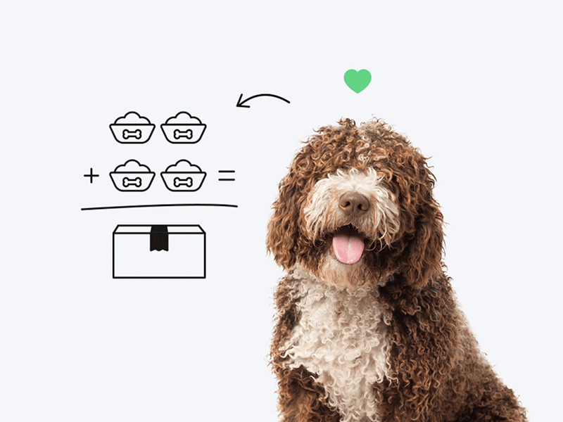 Dog animation by 14islands on Dribbble