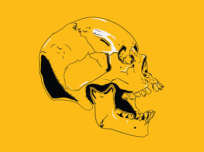 Yellow Skull Illustration death human illustration illustrator line shading skull stroke vector