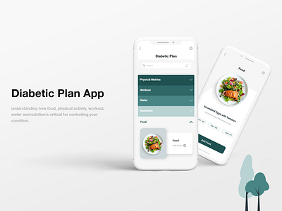 Diabetic Plan App