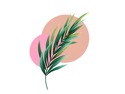 Palm leaf illustration palm palm leaf procreate