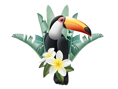 Toucan toucan tropical bird