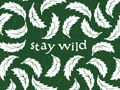 STAY WILD