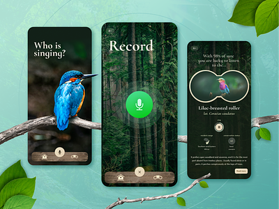 Who is singing? app bird design mobile mobile app mobile design record sing ui ux uxui