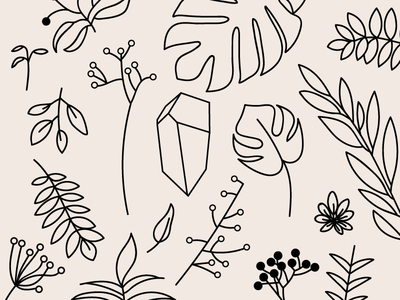 plant friends background crystal flora flower illustration line art plants wallpaper