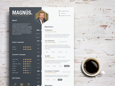 Curriculum Vitae / Resume curriculum vitae cv designer developer hexagon hybrid paper resume resume design