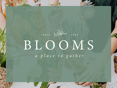 Blooms brand brand design branding florals florist identity identity design logo logo design logotype small business
