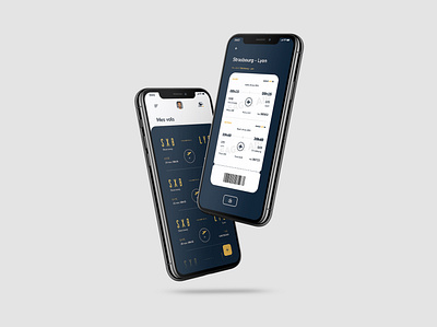 Flight Tickets for mobile dailycacatoes dailyui flightticket ui