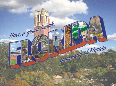 Florida Postcard branding college design florida postcard spring spring break uf vintage vintage design