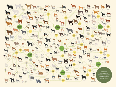 History Museum’s exhibition “From Cave to Cuddles" adobe illustrator design dog breeds dogs exhibition illustration illustration art illustration design museum project vector art