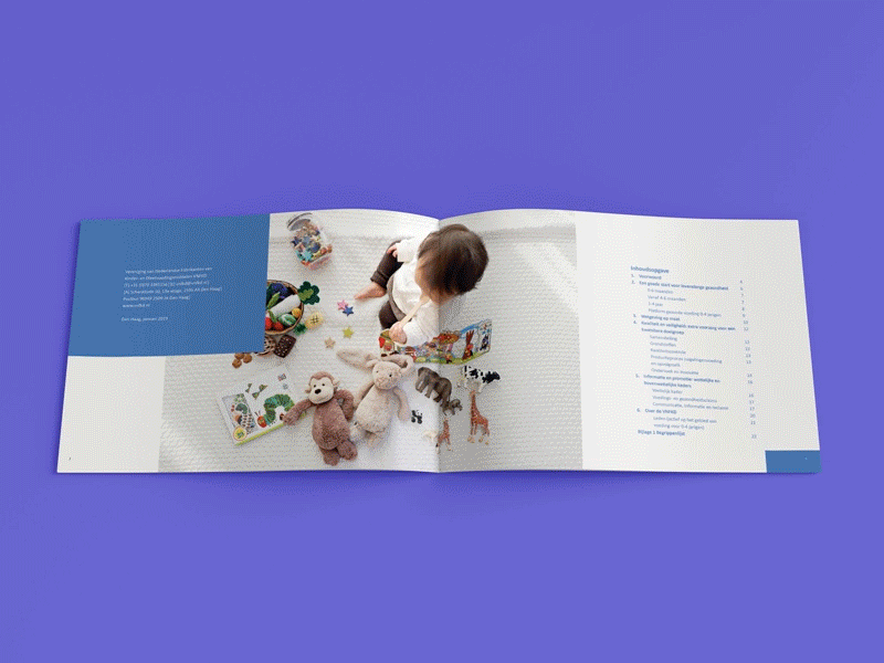 VNFKD - Baby nutrition brochure animation babies brochure brochure design print showcase