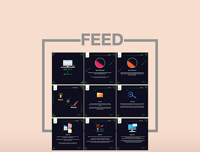 FEED feeds vectors