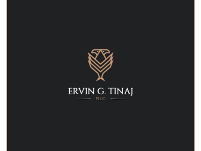 Ervin G Tinaj Logo Design Project brand identity branding business card design eagle eagles law firm law firm logo logo logo design luxury minimal minimalist logo design