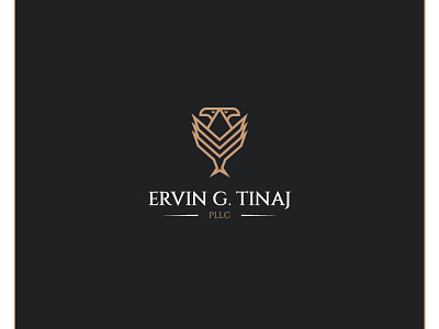 Ervin G  Tinaj Logo Design Project