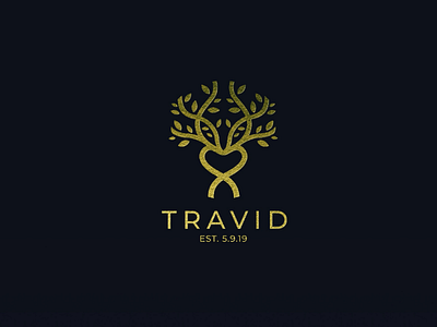 Logo Design for TRAVID adobe illustrator brand identity branding graphic designer logo logo design minimalist