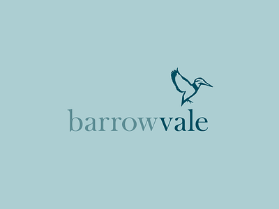Barrowvale identity barrow bird brand flying graphic icon identity kingfisher logo minimal vale