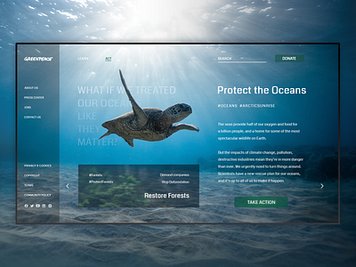 Greenpeace blue clean greenpeace interface nature ocean sea turtle ui ux water