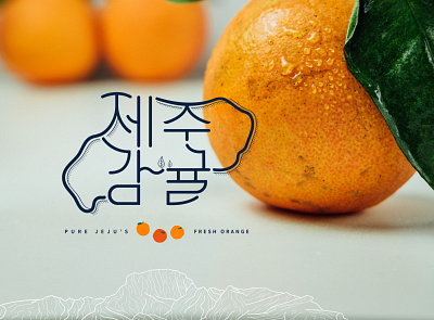 Pure JEJU branding design logo typography