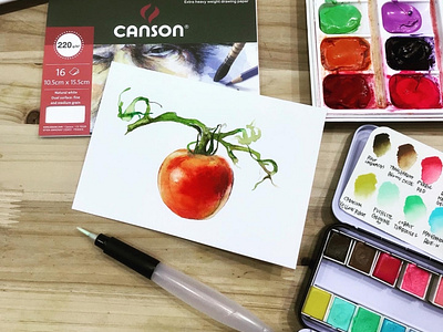 Cherry Tomato _ Watercolor Drawing