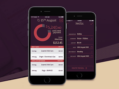 Budgeted Online App finance app ios mobile app ui ux visual design