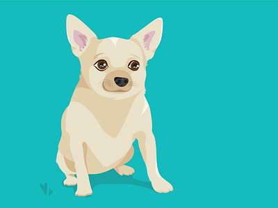 Roon pup RIP animal chihuahua dog illustration illustrator pup puppet puppy vector vectorart