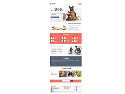 Veterinary clinic website design hero image landing page design ui vet veterinarian veterinary veterinary clinic web website design