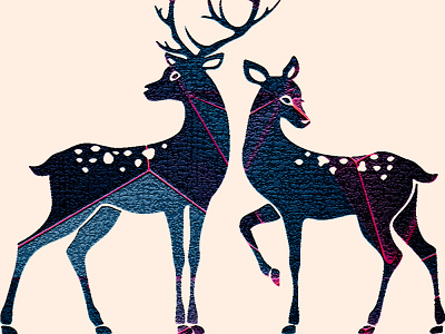 Love deer