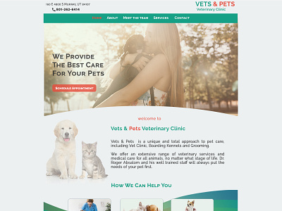 Web Design - Veterinary Clinic design pet photoshop vet veterinarian veterinary clinic
