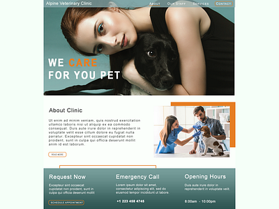 Web Design - Veterinary Clinic design pet photoshop ux vet veterinarian veterinary veterinary clinic web