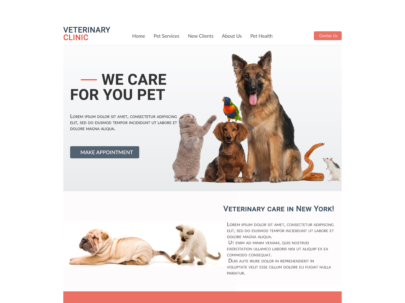 Veterinary Clinic  Design by Valentina St on Dribbble