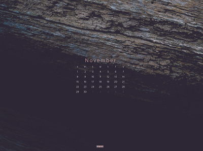 November 2020 calendar download macro nature photography wallpaper