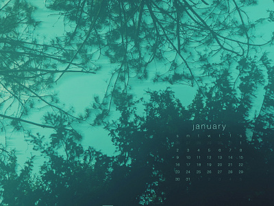 January 2022 4k calendar download nature photography sky sony a7 trees wallpaper