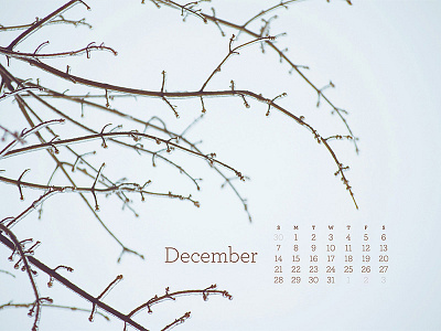 December 2014 branch calendar download nature nikon d80 photograph wallpaper