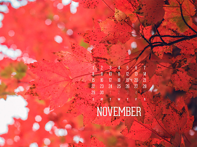 November 2015 calendar download fall leaves photography wallpaper