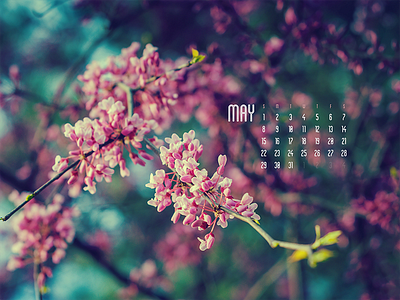 May 2016 calendar download flower nature photograph tree wallpaper