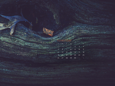 November 2017 28 70mm calendar download nature photography sony a7 tree wallpaper