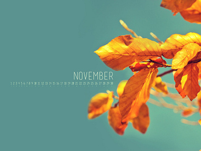 November 2012 calendar fall leaves lost type co op november wallpaper