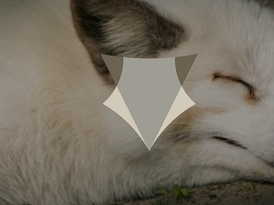 minimalist fox logo branding logo logo design logotype