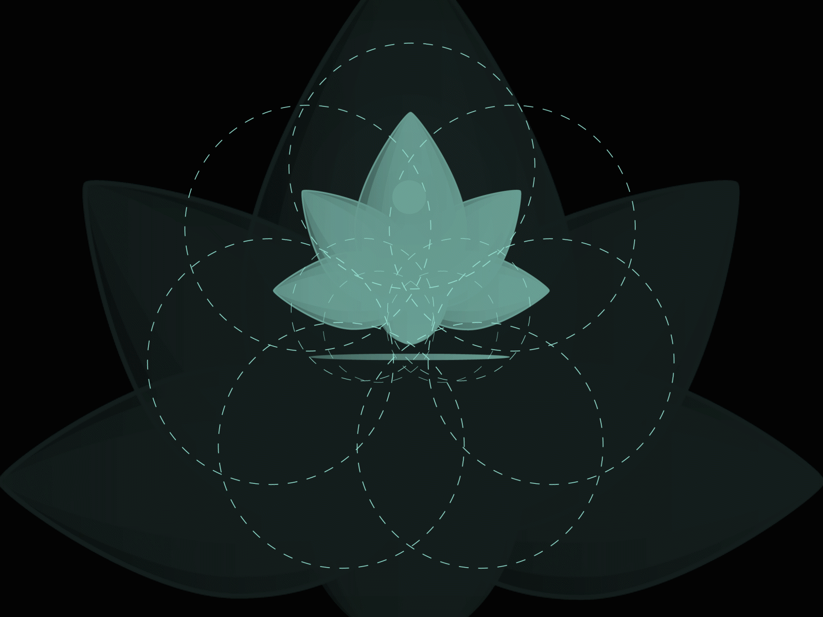 Hello Lotus abstract aftereffects animation design gif logo lotus