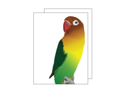 Lovebird adobe illustrator design flatdesign illustration illustrator lovebirds vector