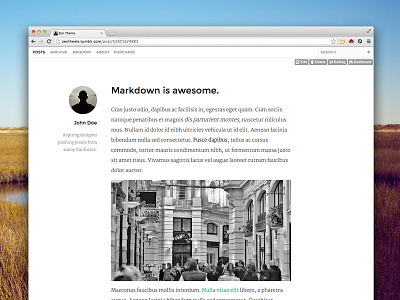 Zen Theme adaptive clean design responsive simple template theme themeforest tumblr web