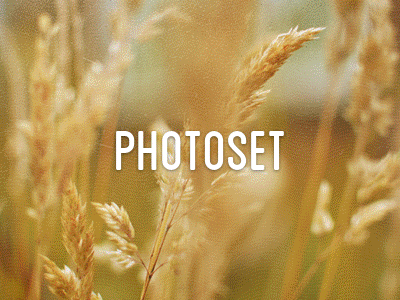 Photoset Freebie background bokeh freebie goodie photos photoset set