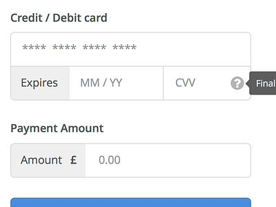 Payment Form credit card form payments