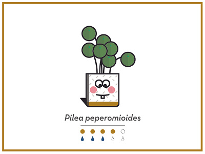 My Lil Pilea character design cute house plants infographic pilea plant plant info plants