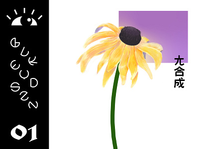 Rudbeckia hirta design flower handmade type illustration illustration art illustrator procreate procreate app type typography