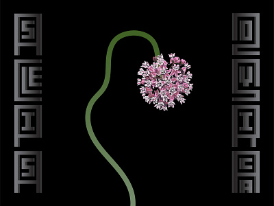 Asclepias syriaca design flower handmade type illustration illustration art illustrator lettering procreate procreate app type typography