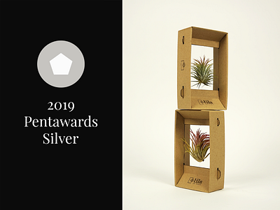 Tila, air packaging for air plants eco laser packaging pentawards plant recyclable zero waste