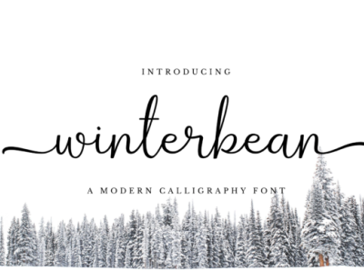 Winterbean Font Script design illustration illustrator lettering logo minimal type typography vector website