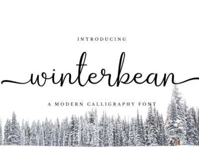 Winterbean Font Script