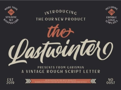 Lastwinter Font Script animation branding design icon illustrator lettering logo type typography vector