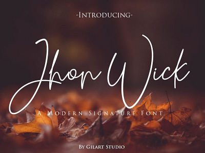 Jhon Wick | A Modern Signature Font